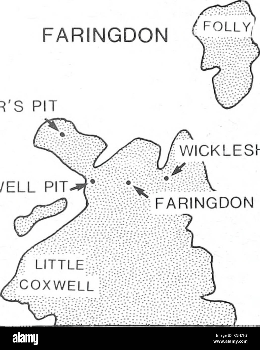 . Bulletin of the British Museum (Natural History). La géologie.. BOWLER'S PIT 1 KM - 'petite fosse COXWELL-W* grand f COXWELL peu ^^j. COXWELL WICKLESHAM FARINGDON PIT PIT Fig. Localité 1 carte de la région de Faringdon dans l'Oxfordshire (après 1947 Arkell : fig. 28). L'affleurement de l'Aptien sable vert inférieur, qui comprend l'éponge de Faringdon, gravier est unstippled Nude-look ; le reste se compose de roches jurassiques. près de la base du gravier rouge). Les fossiles varient dans leur état de préservation de l'Immaculé ou fortement fragmentés par abrasion ; certains (p. ex., bélemnites) sont clairement dérivé f Banque D'Images