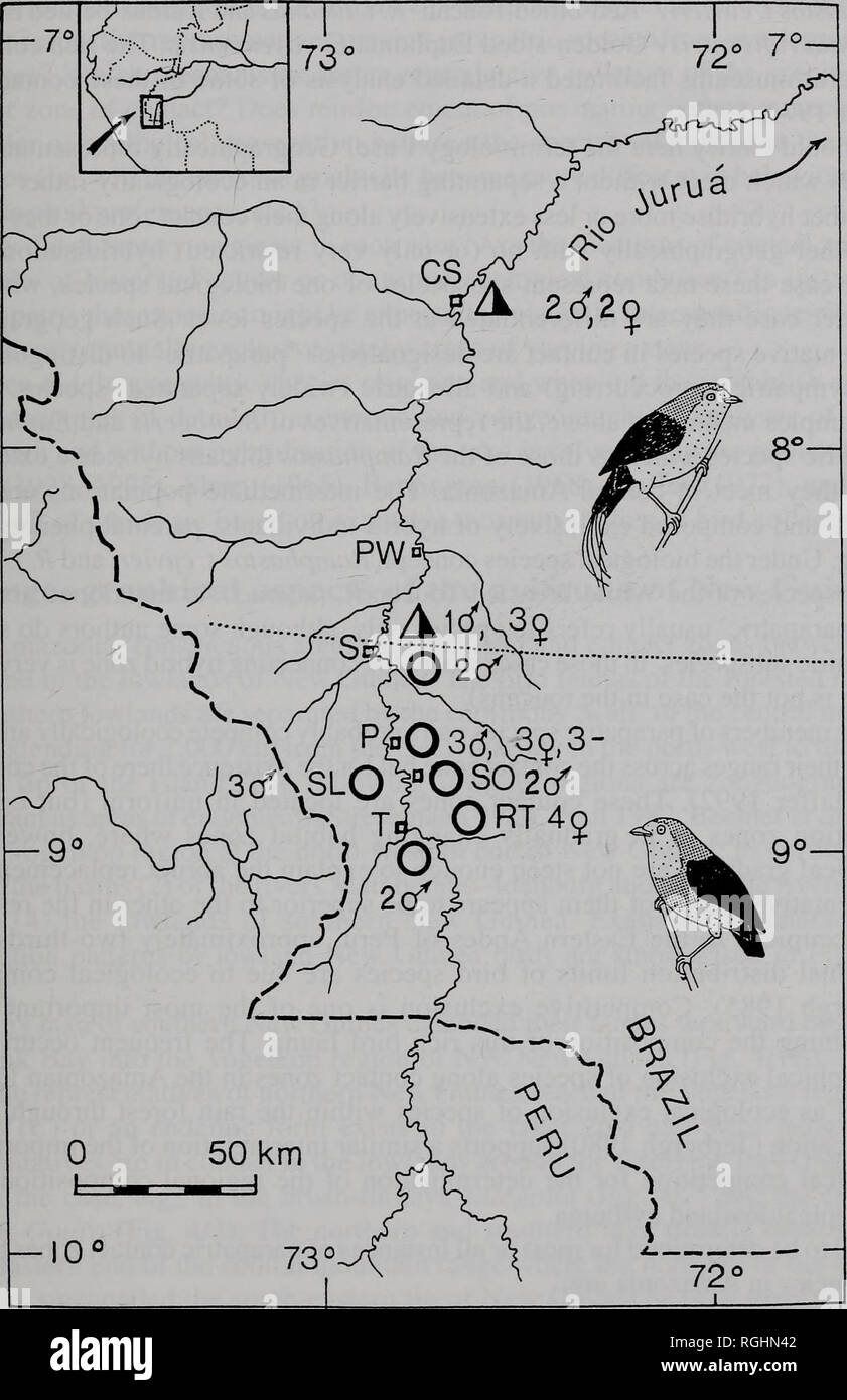 . Bulletin of the British Ornithologists' Club. Jurgen Haffer 13 Bull. B.O.C. 2003 123A. Fig. 3. Entre le fil de contact parapatriques Manakin à queue (Piprafilicauda, au-dessus et des triangles) et bande- tailed Manakin (P. fasciicauda, ci-dessous et cercles) le long du cours supérieur du Rio Jurua plus occidentale dans le Brésil. Des croquis illustrent les mâles adultes. Localités du nord au sud sont Cruzeiro do Sul (CS), Sobral (S ; les deux espèces !), Porongaba (P), Da Nang Sao Luis (SL), Seringal Oriente (SO), Taumaturgo (T), et Rio Tejo (RT). PW Porto Valter. Une ligne pointillée suit la frontière entre le Brésil et le Pérou.. Veuillez noter e Banque D'Images