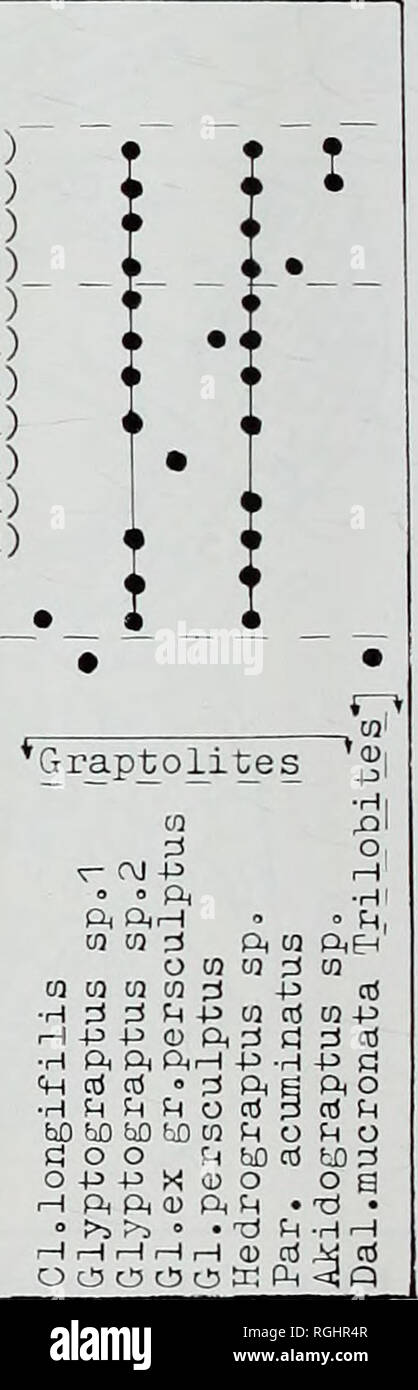 . Bulletin of the British Museum (Natural History), la géologie. G-835- C-833- G-833- 0-J33- "C-833 C-833--- G-833 G-833 C-833-- G-833 G-833-- C-833-  C-83J- â¢C-833-(4) 4(71-72M 67-68m) â 4(61-62m) 4(5 6-57m) 4T53-54ii) â¢4(35-36m) â¢4(34-3, 5m) - 4 m(24-25) â 4(22-23) m â¢4(19-2cm) â 4(17-18) â 4 m(9m) .4(4^5^) â 3Tl-2m) H-I K-L. co co ra â h d d .H P&gt ; P â¢H ft ft  +j m ft ft Â° f&gt;j :&gt ;&gt ; rHHH OC50 Fig. 7 Distribution des faunes, dans les sections près de Chineta. village. Veuillez noter que ces images sont extraites de la page numérisée des images qui peuvent avoir été retouchées numériquement pour plus de lisibilité Banque D'Images