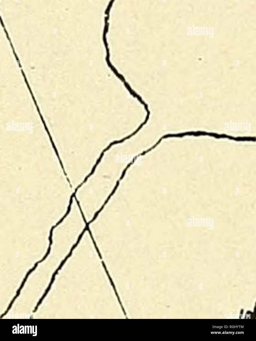 . Bulletin de la Société des Sciences Naturelles de Buffalo. Histoire naturelle ; la science.  %W zW &gt;Â" J'Kyadtf^^ H/ua. Tun /j. ^j&amp;P 'â ¢" jdctune^*.auw ,eoxic2rn&amp ;&gt;U/â â ' ^- * Site de de Brebant de Galinee, 1669-1670. En juillet 1672, le père Julian Gamier parle (*l) d'Gandachi- oragon Raffeix et signalé que le père était arrivé à L,une con- ception. C'est la dernière mention de Gandachioragon. Dans la relation de 1673-74 (*2) seulement trois villages sont nommés, Saint Michel, qui a été la mission de Père Gamier station ; J'^une conception, où le père était Raffeix en poste, et de Saint Jacques. *Je Re jésuite Banque D'Images