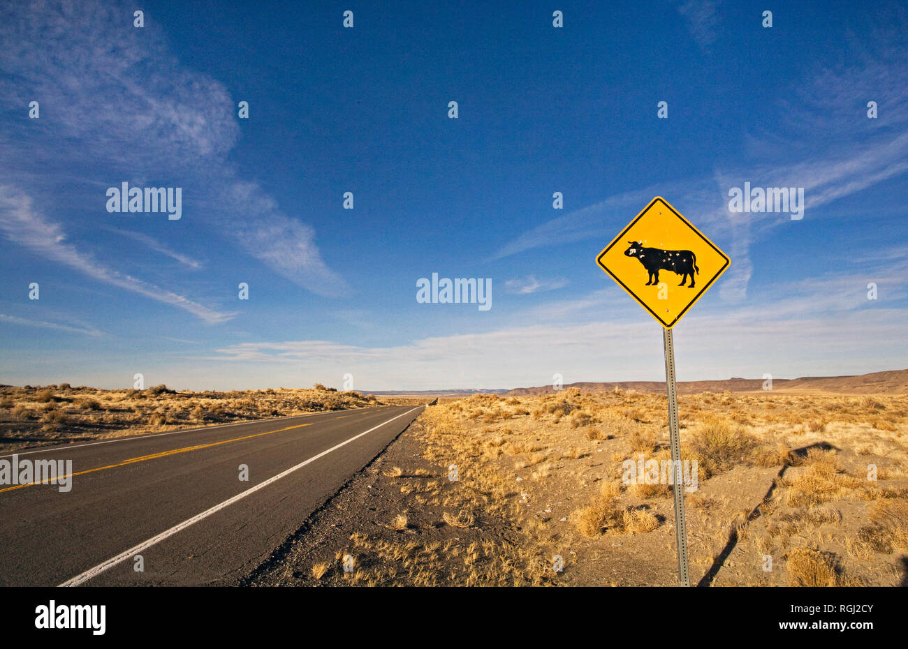 Un signe criblés de balles sur une route étroite dans la campagne de l'Outback de l'Oregon près de la petite ville de Plush, Oregon, dans la partie sud-est de Banque D'Images