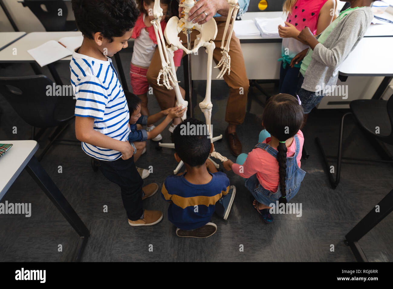 Portrait de l'apprentissage de l'anatomie schoolkids squelette humain en classe d'école primaire Banque D'Images