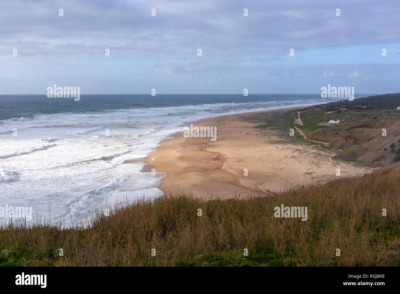 North Beach, plage Praia do Norte à Nazaré, Portugal Banque D'Images