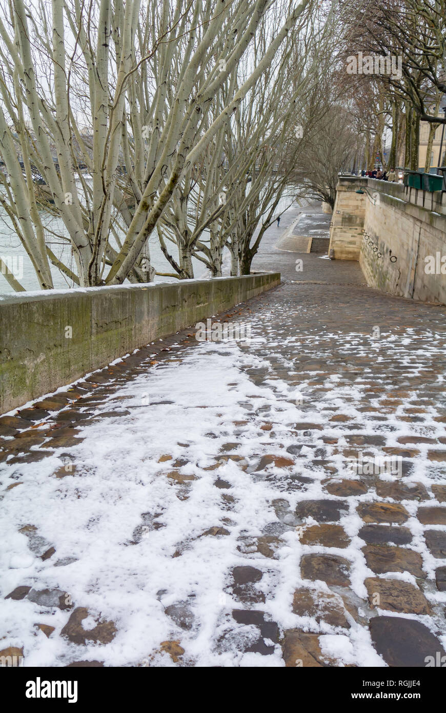 Seine sous la neige, Paris, France Banque D'Images