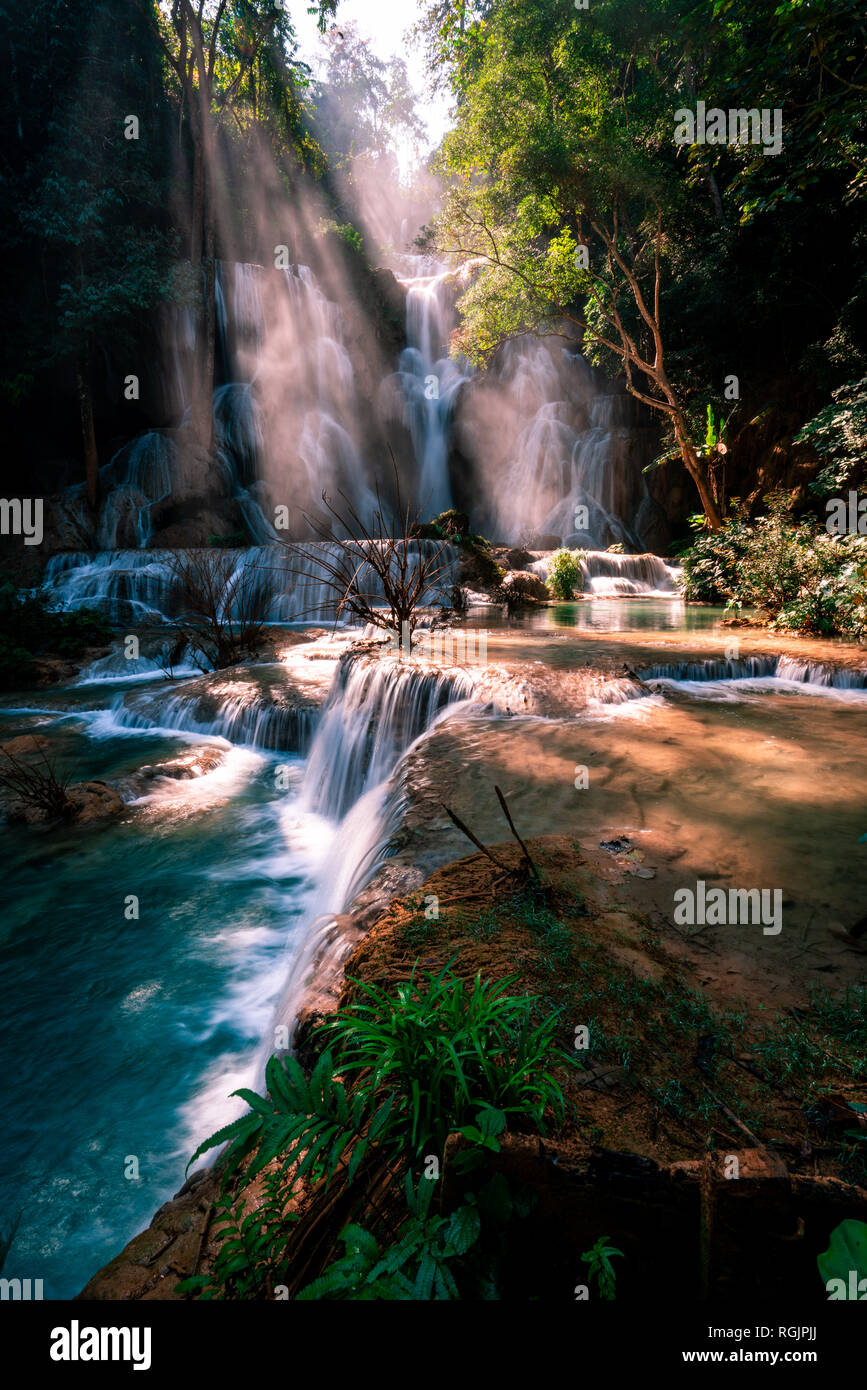 Chutes de Kuang Si étonnante à Luang Prabang, Laos. L'eau bleu parfait combiné à la lumière du soleil et de belles couleurs vert puissant. Banque D'Images
