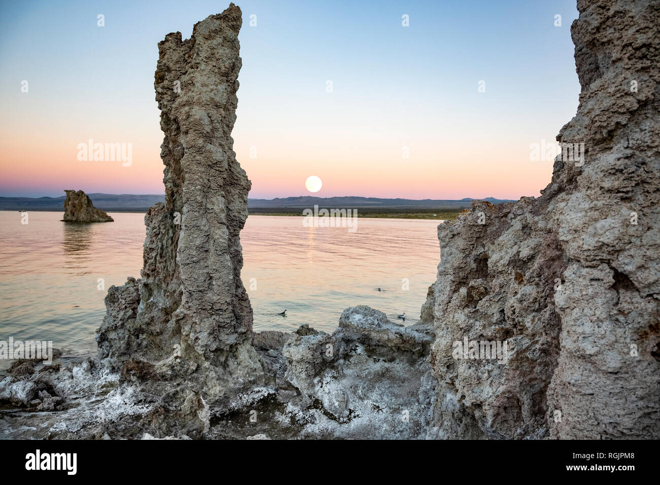États-unis, Californie, Lee Vining, tuf, région du sud du lac Mono, formations rocheuses, le soir de pleine lune Banque D'Images