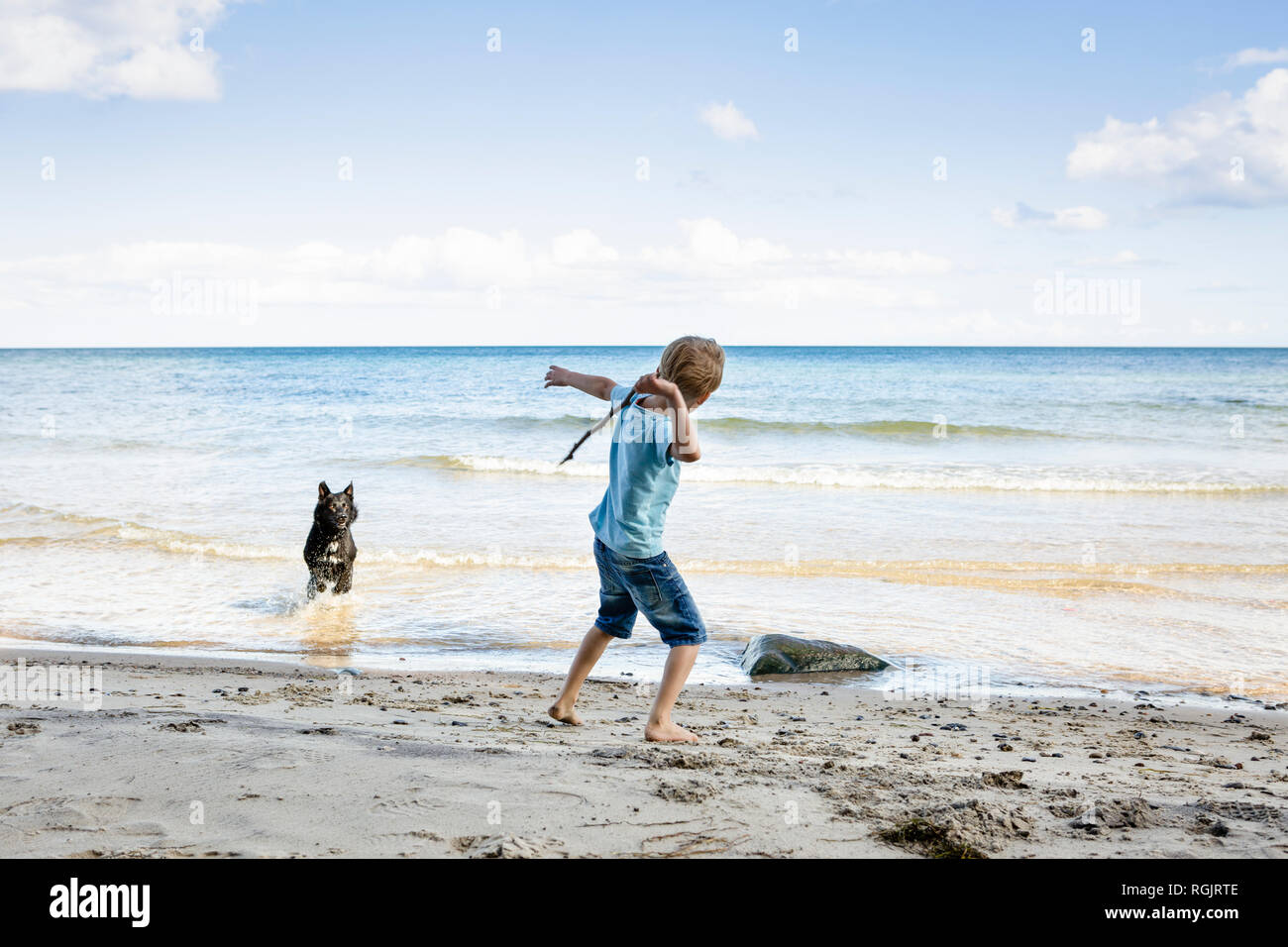 Boy Playing with dog at the beach Banque D'Images