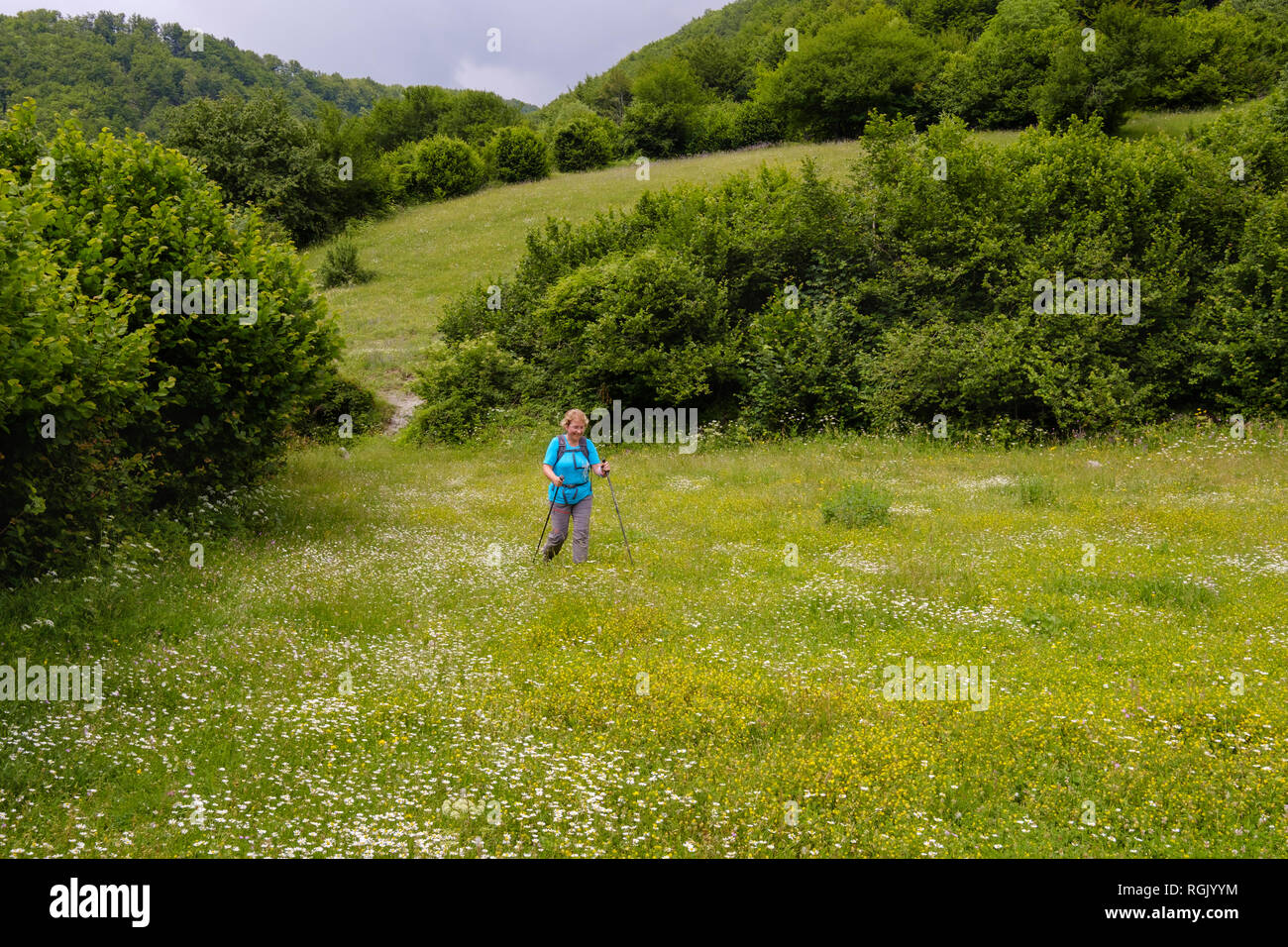 L'Albanie, comté de Shkoder, Albanais Alpes, le Parc National de Theth, female hiker walking over flower meadow Banque D'Images