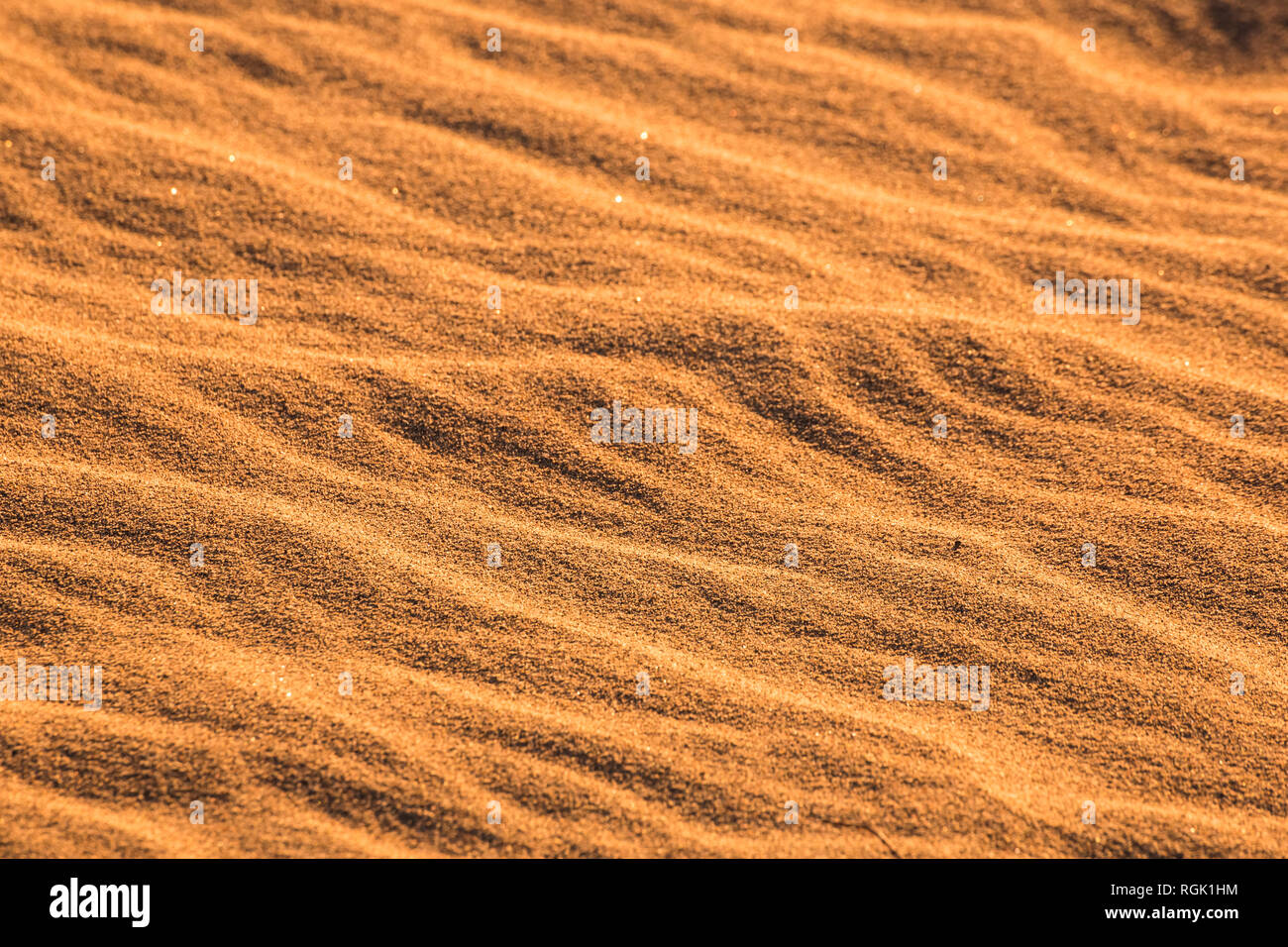 USA, californien, la vallée de la mort, Death Valley National Park, Mesquite Flat Sand Dunes, full frame Banque D'Images