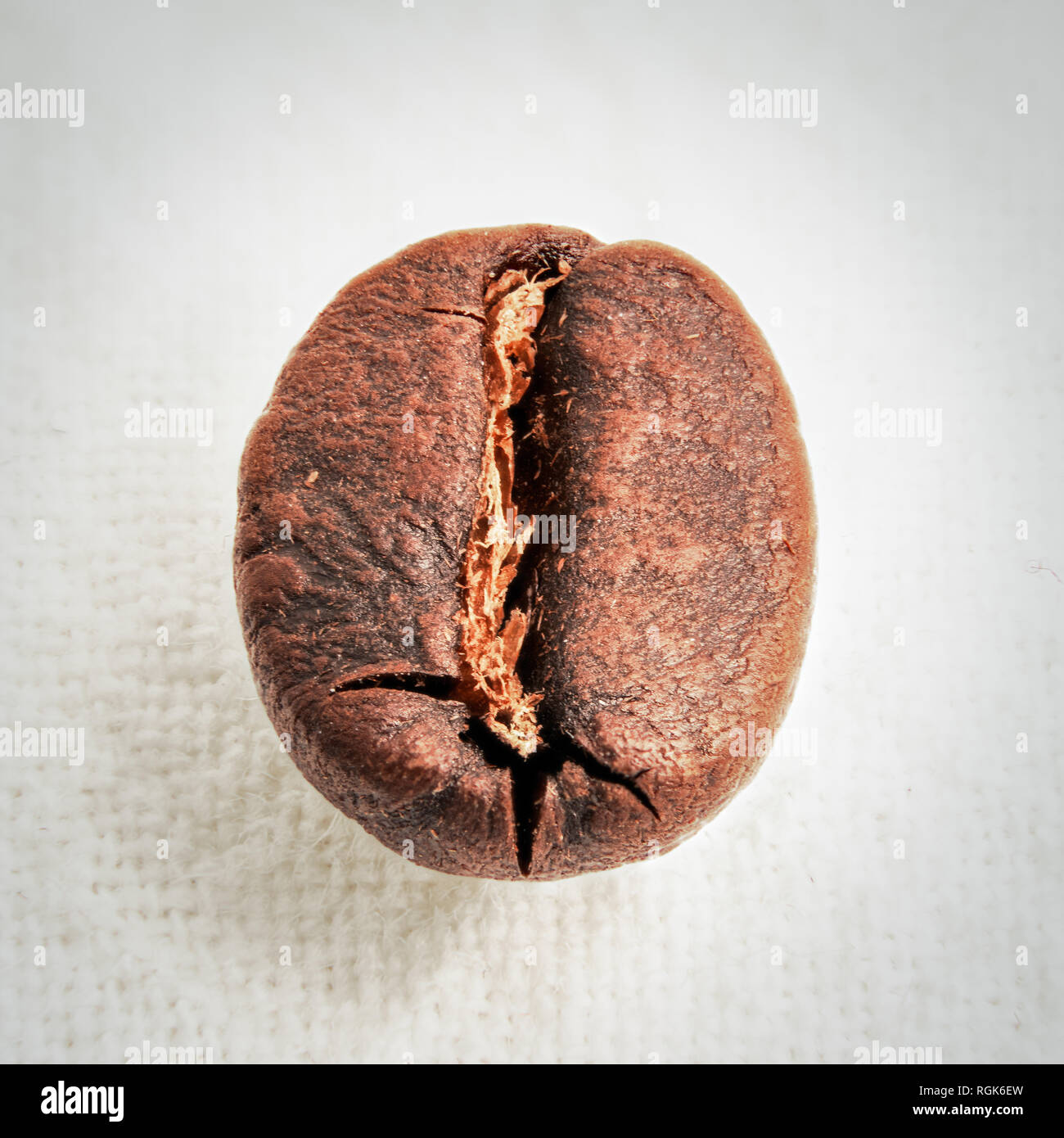 Photographie macro Close up d'un seul grain de café Banque D'Images