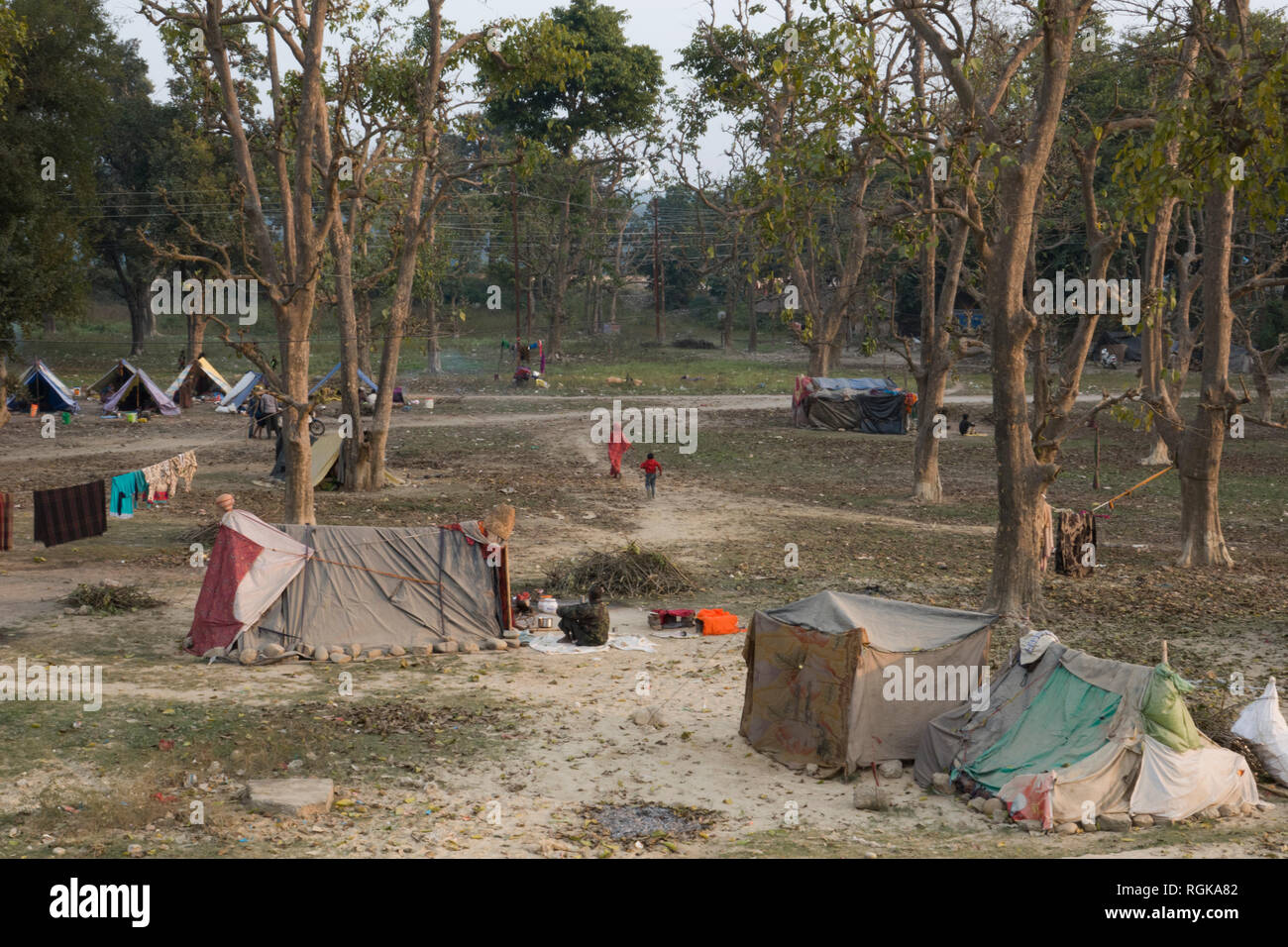 Communauté de personnes vivant dans des tentes dans la forêt à la périphérie de Haridwar, Uttarakhand, Inde Banque D'Images