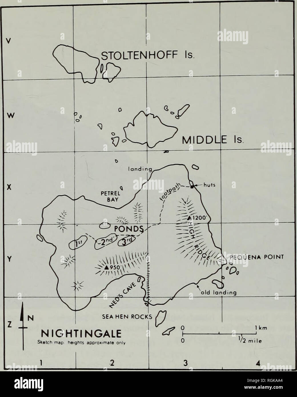 Bulletin Of The British Museum Natural History Botanique 342 E W Groves Fig 9 Plan De Nightingale Island Avec La Filiale Stoltenhoff Et Moyen Au Nord L Ile Se Trouve A Environ Bulletin Of The British Museum Natural History Botanique 342 E W Groves Fig 9 Plan De Nightingale Island Avec La Filiale Stoltenhoff Et Moyen Au Nord L Ile Se Trouve A Environ
