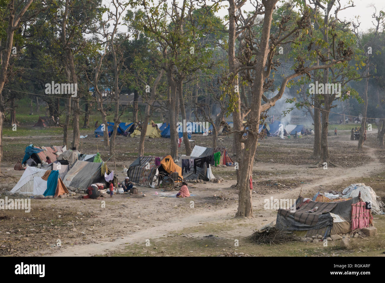 Communauté de personnes vivant dans des tentes dans la forêt à la périphérie de Haridwar, Uttarakhand, Inde Banque D'Images