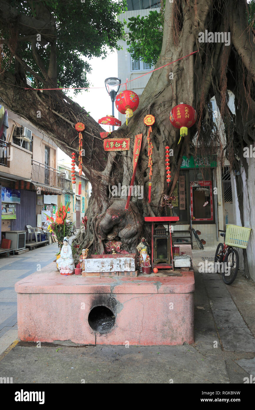 Banyan Tree Temple, Cheung Chau Island, Hong Kong, Chine, Asie Banque D'Images