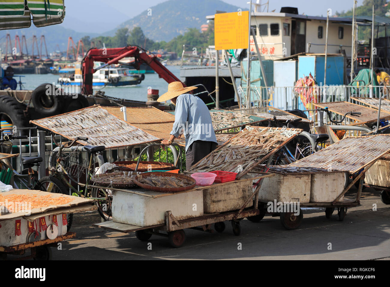 Le séchage du poisson, Cheung Chau Island, Hong Kong, Chine, Asie Banque D'Images