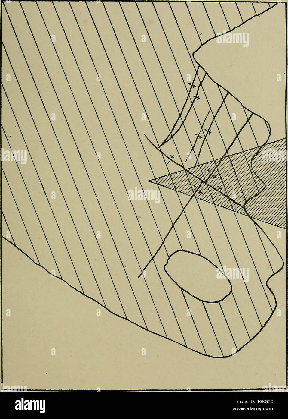 . Bulletin - New York State Museum. La science. Défauts de l'est post-NEW YORK II ces défauts semblent limités à la fragile ou schistes ardoises couchée sur le côté est de l'organisme ci-dessus mentionné. grès. Fig. 3 croquis de la défauts post-glaciaires sur le versant sud de l'Poesten tuer à Troy. Les lignes obliques parallèles indiquent la direction de l'ère glaciaire à travers le stries exposition. Le groupe de lignes noires montre la position des défauts. Signes Plus et moins se présenter aux soulevée et downthrown côtés respectivement ; la zone gauche blanc est l'argile-partie couverte de th Banque D'Images