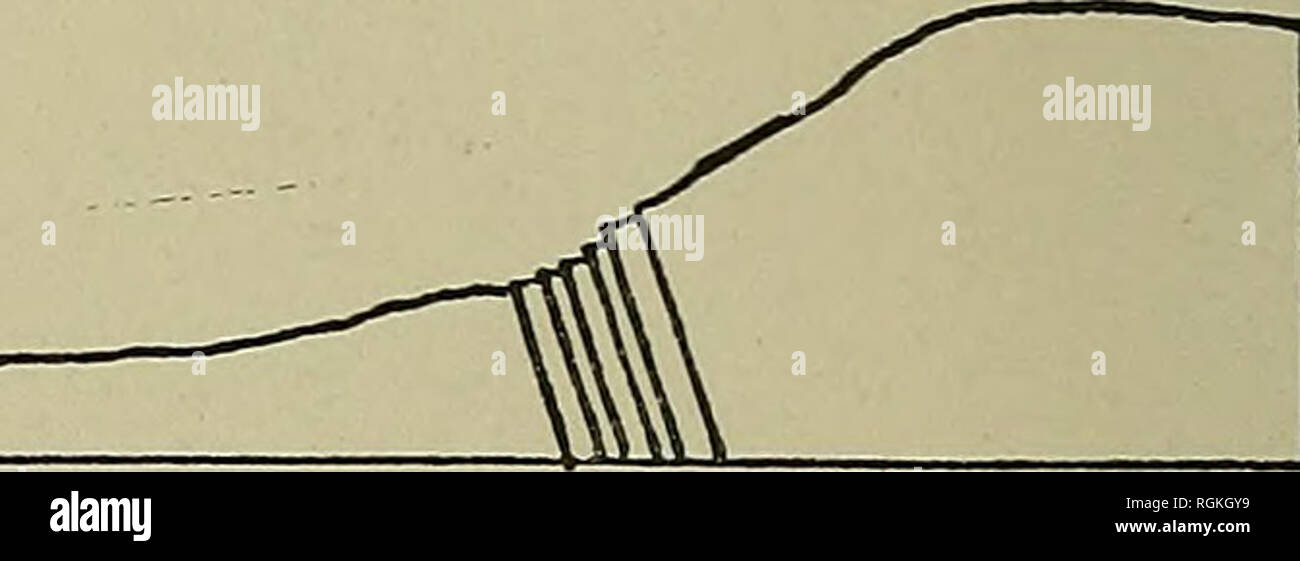 . Bulletin - New York State Museum. La science. lO NEW YORK STATE MUSEUM est et l'ouest par la fragilité des schistes noirs avec une structure vineuse [voir pi. 2]. Près de la base de cette pente, ou d'environ 20 à 60 pieds au-dessus du niveau de la 4e rue, la surface de la roche apparaît dans une zone glaciaire et postglaciaire cassés par défauts, ou du moins par les défauts qui interrompent la glaciation rock surface. La grève des grès et d'ardoise est ici 9° est de l'Amérique, et l'approche des stries glaciaires la banque sur un cours de l'art. 21° e. Le dip des ardoises est d'environ 40° e., où ne participe pas à la brusque Banque D'Images