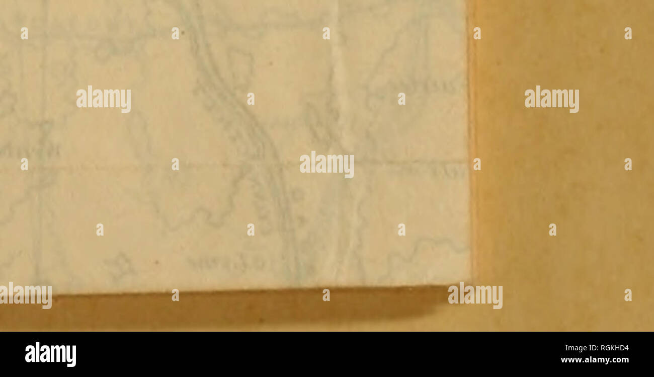 . Bulletin - New York State Museum. La science. ^. Veuillez noter que ces images sont extraites de la page numérisée des images qui peuvent avoir été retouchées numériquement pour plus de lisibilité - coloration et l'aspect de ces illustrations ne peut pas parfaitement ressembler à l'œuvre originale.. New York State Museum, New York State Museum. L'État de New York, Albany : Service Formation Banque D'Images
