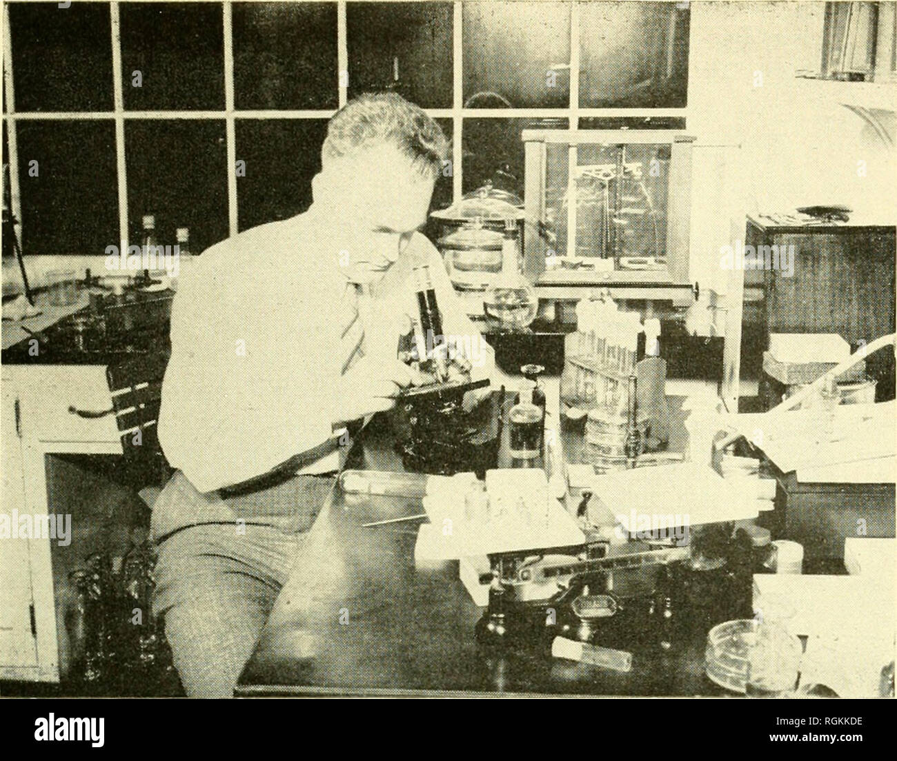 . Bulletin - Massachusetts Agricultural Experiment Station. Agriculture -- au Massachusetts. 10 de la plaque. Les champignons commencent leur vie dans le laboratoire, où les scientifiques qualifiés sélectionnez les meilleurs champignons et placez les sections de tubes en verre stérile. Ces tubes, bouchées avec du coton, sont placés dans un incubateur et tenue à température et humidité constantes pendant 72 heures. Au cours de cette chaux à partir de la liste déroulante des spores du champignon les branchies et produire une impression de spores dans le tube de verre.. Veuillez noter que ces images sont extraites de la page numérisée des images qui peuvent avoir été retouchées numériquement pour plus de lisibilité - Banque D'Images