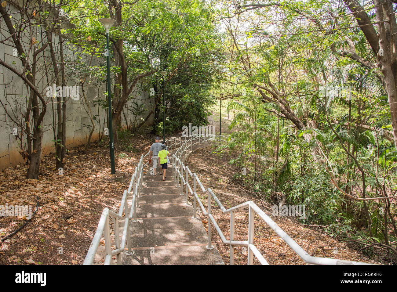 Darwin, Territoire du Nord, Australia-October 8,2017 : Père et fils marchant dans la forêt tropicale pas dans Darwin, Australie Banque D'Images