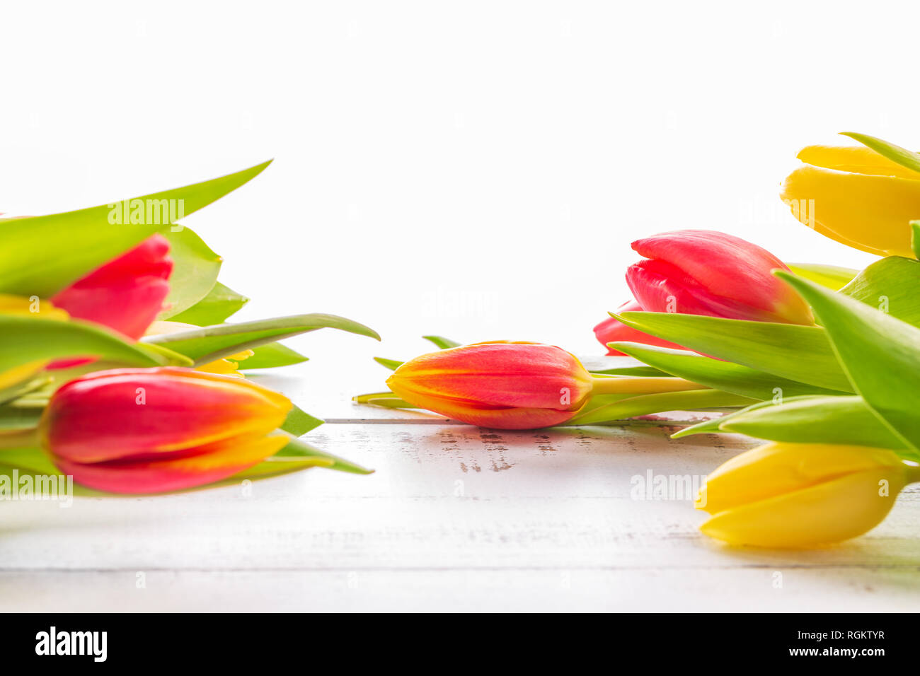 Printemps tulipes colorées avec l'exemplaire de l'espace. Banque D'Images