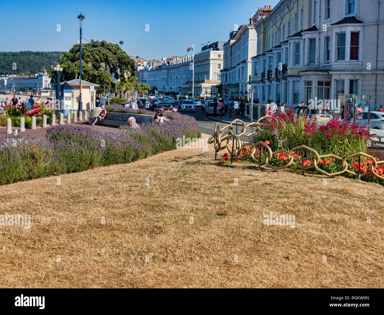 14 Juillet 2018 : Llandudno, Conwy, Nord du Pays de Galles - séché, l'herbe dans les jardins publics sur la promenade de Llandudno au cours de la canicule de l'été continue. Banque D'Images