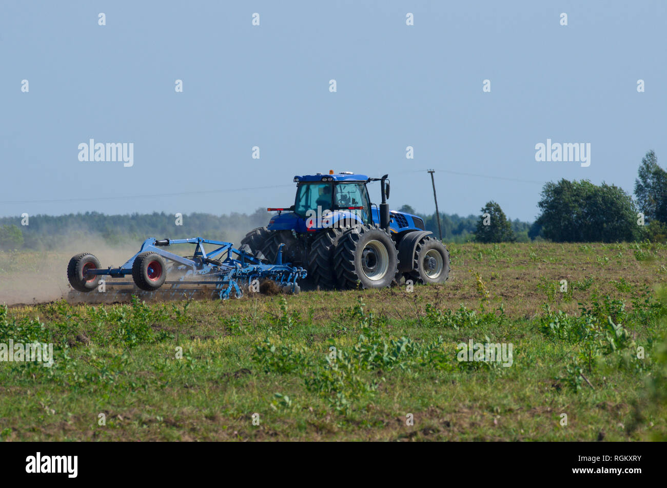 Le labour tracteur bleu le champ vert avec une herse de fer dans la saison de labour Banque D'Images