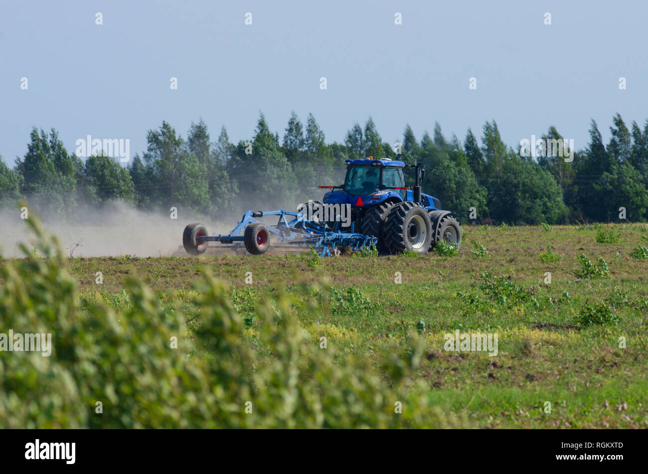 Le labour tracteur bleu le champ vert avec une herse de fer dans la saison de labour avec l'avant-plan Bush Banque D'Images