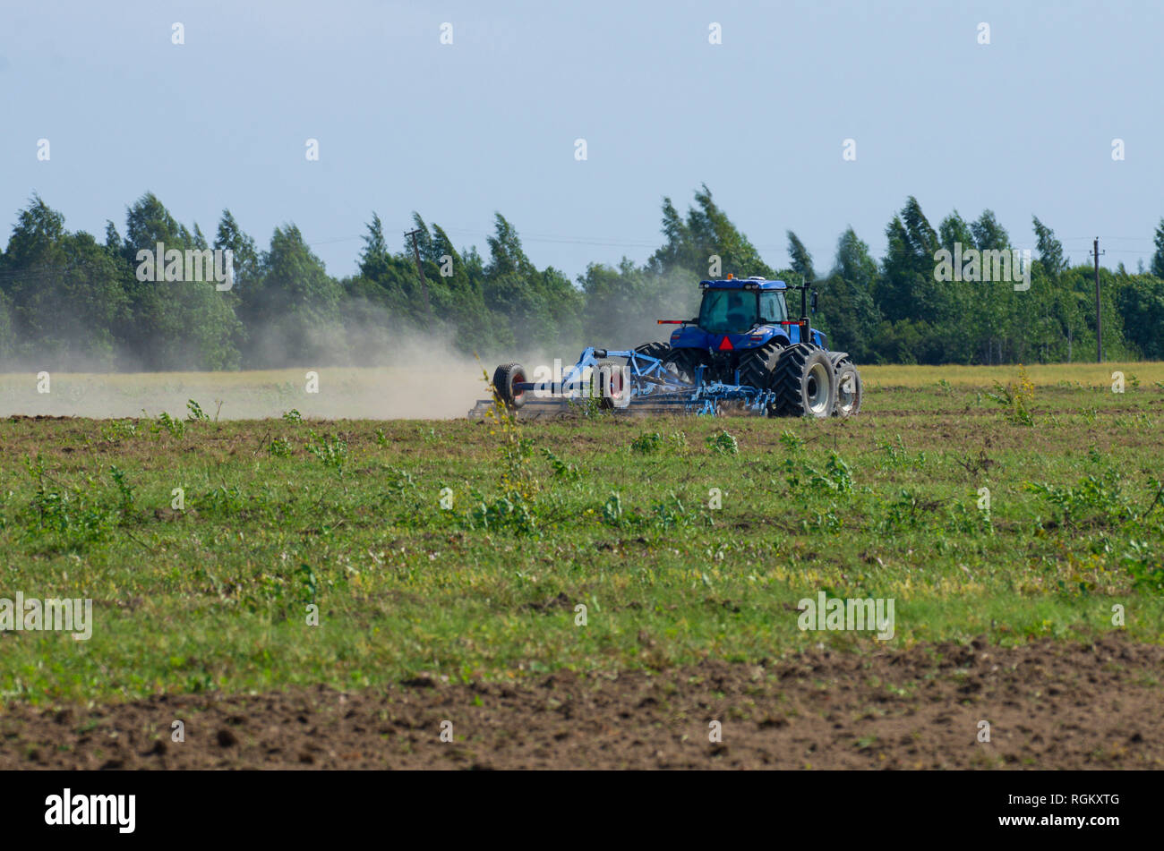 Le labour tracteur bleu le champ vert avec une herse de fer dans la saison de labour avec poussière tourbillonner Banque D'Images