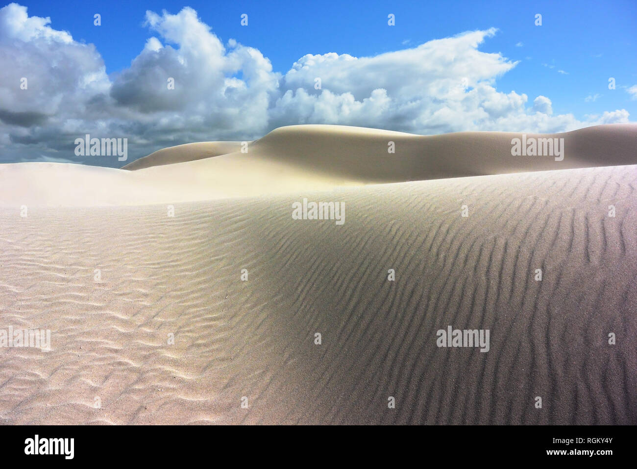 Désert Great Victoria, Nullarbor, WA : white sand dunes intactes, ciel bleu et nuages/threatenig storm coming. Lieu vide, paysage magnifique. Banque D'Images