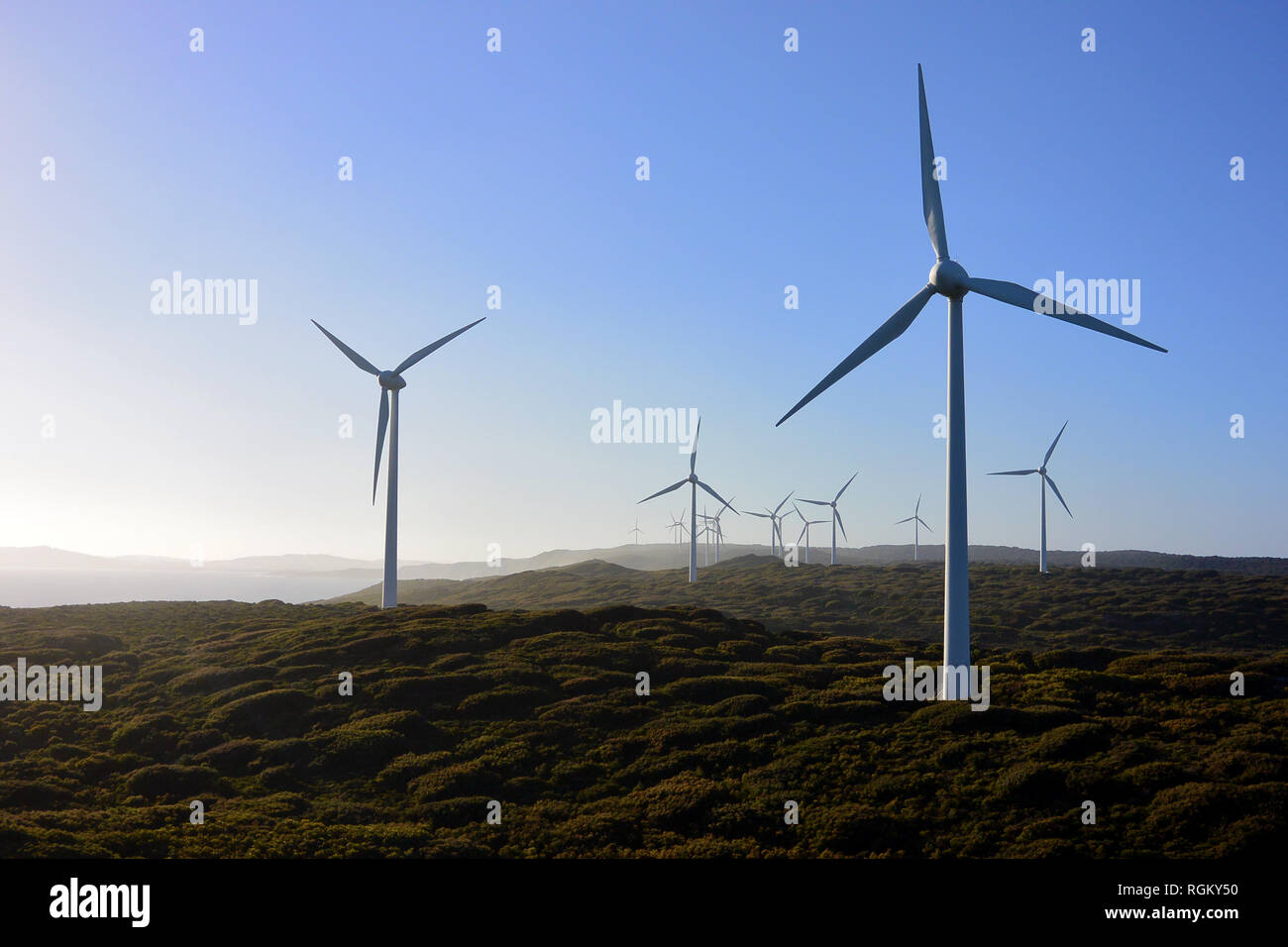 En douce soirée lumière et ciel bleu, éoliennes électricité ferme dans le sud de l'Australie. Himan, technologie de l'industrie écologique, l'électricité, les énergies renouvelables l'ene Banque D'Images