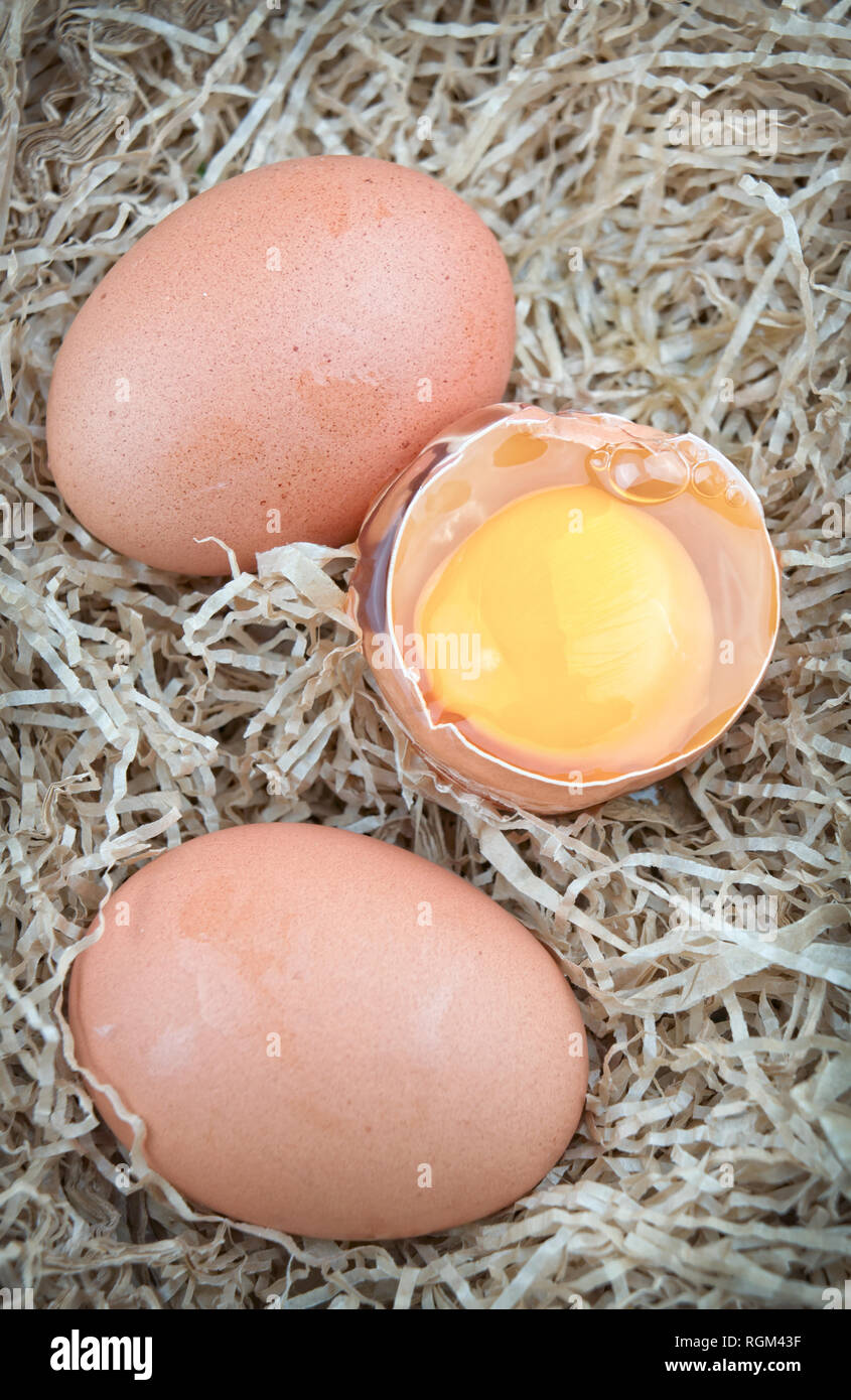 Oeufs frais sur la paille avec copie espace Banque D'Images
