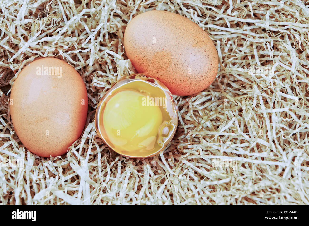 Oeufs frais sur la paille avec copie espace Banque D'Images