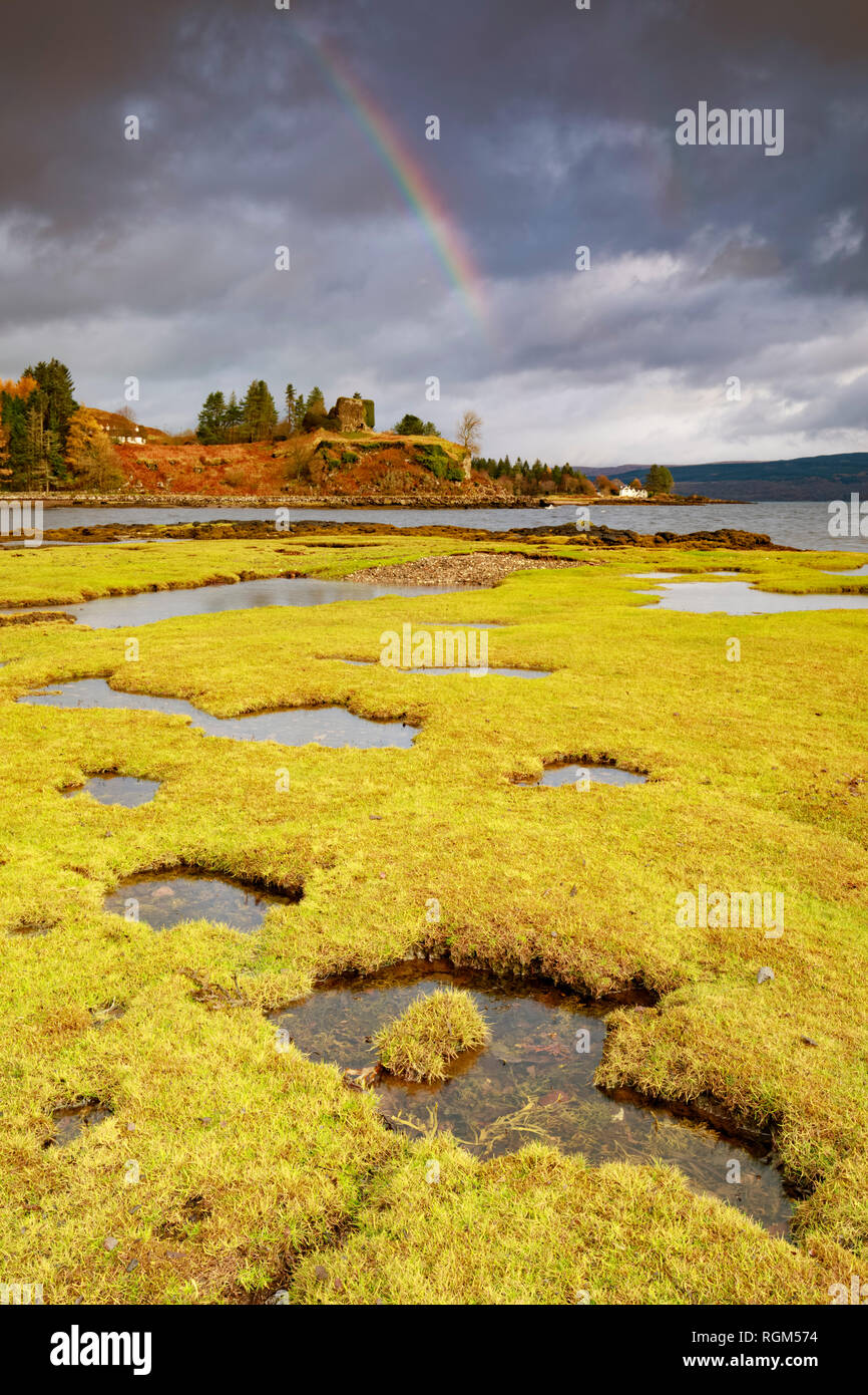 Marais près de Salen sur l'île de Mull avec Aro château dans la distance. Banque D'Images