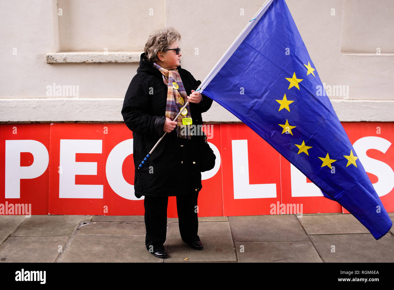 Un adversaire d'un Brexit porte drapeau de l'UE à l'extérieur les chambres du Parlement, au centre de Londres. Dans les communes, un jour de grande activité parlementaire plus Brexit, les députés ont rejeté une contre-partie d'amendement du député du Parti du Travail Yvette Cooper et Conservateur MP Nick Boles conçu pour réduire considérablement le risque d'un craint une "absence de deal' la sortie de l'UE. Un amendement rejetant le principe de non-deal sortie était entre-temps approuvé, comme c'était un amendement soutenu par le gouvernement conservateur de défendu par Graham Brady appelant à "d'autres dispositions' pour prendre la place de la Banque D'Images