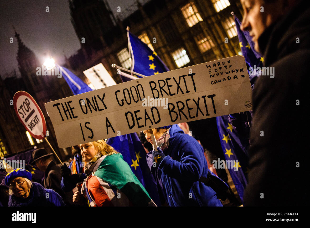 Les opposants du Brexit manifester devant les Chambres du Parlement, au centre de Londres. Dans les communes, un jour de grande activité parlementaire plus Brexit, les députés ont rejeté une contre-partie d'amendement du député du Parti du Travail Yvette Cooper et Conservateur MP Nick Boles conçu pour réduire considérablement le risque d'un craint une "absence de deal' la sortie de l'UE. Un amendement rejetant le principe de non-deal sortie était entre-temps approuvé, comme c'était un amendement soutenu par le gouvernement conservateur de défendu par Graham Brady appelant à "d'autres dispositions' pour prendre la place de la controve Banque D'Images