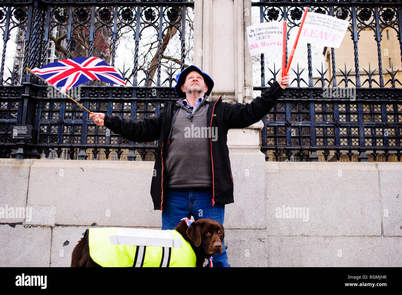Un militant pro-Brexit démontre à l'extérieur les chambres du Parlement, au centre de Londres. Dans les communes, un jour de grande activité parlementaire plus Brexit, les députés ont rejeté une contre-partie d'amendement du député du Parti du Travail Yvette Cooper et Conservateur MP Nick Boles conçu pour réduire considérablement le risque d'un craint une "absence de deal' la sortie de l'UE. Un amendement rejetant le principe de non-deal sortie était entre-temps approuvé, comme c'était un amendement soutenu par le gouvernement conservateur de défendu par Graham Brady appelant à "d'autres dispositions' pour prendre la place de la contr Banque D'Images