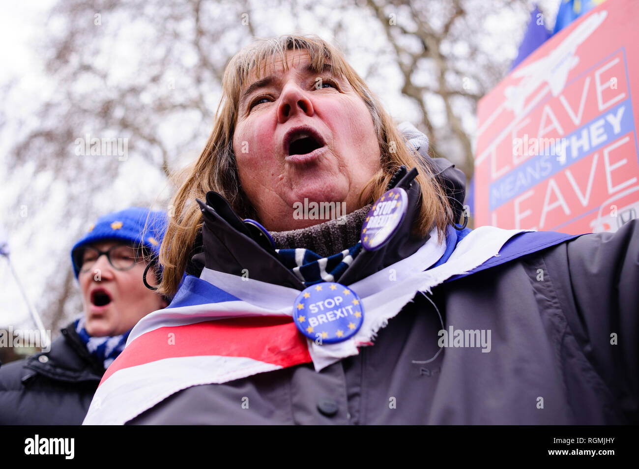 Militants Anti-Brexit manifester devant le Palais de Westminster au centre de Londres. Dans les communes, un jour de grande activité parlementaire plus Brexit, les députés ont rejeté une contre-partie d'amendement du député du Parti du Travail Yvette Cooper et Conservateur MP Nick Boles conçu pour réduire considérablement le risque d'un craint une "absence de deal' la sortie de l'UE. Un amendement rejetant le principe de non-deal sortie était entre-temps approuvé, comme c'était un amendement soutenu par le gouvernement conservateur de défendu par Graham Brady appelant à "d'autres dispositions' pour prendre la place de l'contro Banque D'Images