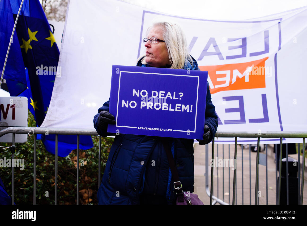 Un militant pro-Brexit démontre à l'extérieur les chambres du Parlement, au centre de Londres. Dans les communes, un jour de grande activité parlementaire plus Brexit, les députés ont rejeté une contre-partie d'amendement du député du Parti du Travail Yvette Cooper et Conservateur MP Nick Boles conçu pour réduire considérablement le risque d'un craint une "absence de deal' la sortie de l'UE. Un amendement rejetant le principe de non-deal sortie était entre-temps approuvé, comme c'était un amendement soutenu par le gouvernement conservateur de défendu par Graham Brady appelant à "d'autres dispositions' pour prendre la place de la contr Banque D'Images