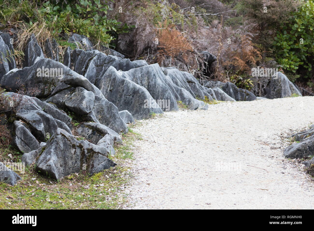 Des formations de roche karstique le long de la piste, Hawkes Lookout Nelson, Nouvelle-Zélande. Banque D'Images