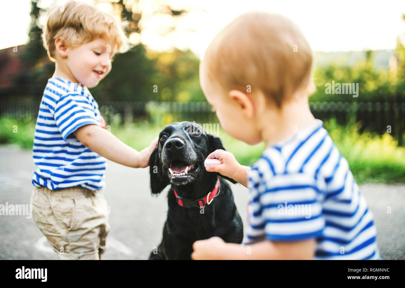 Tout-petit et sa petite sœur caresser dog outdoors Banque D'Images