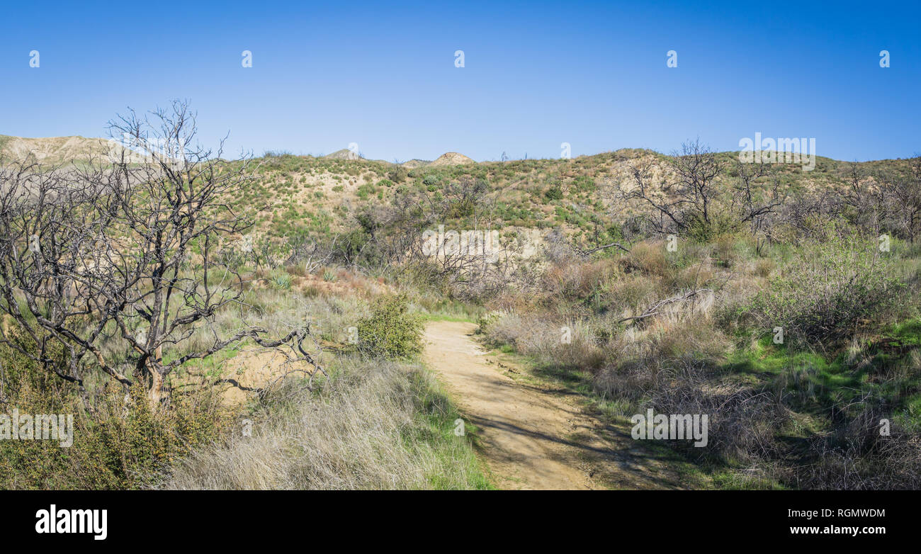 L'espace naturel de la Californie du sud à travers des sentiers de randonnée Santa Clarita région sauvage. Banque D'Images