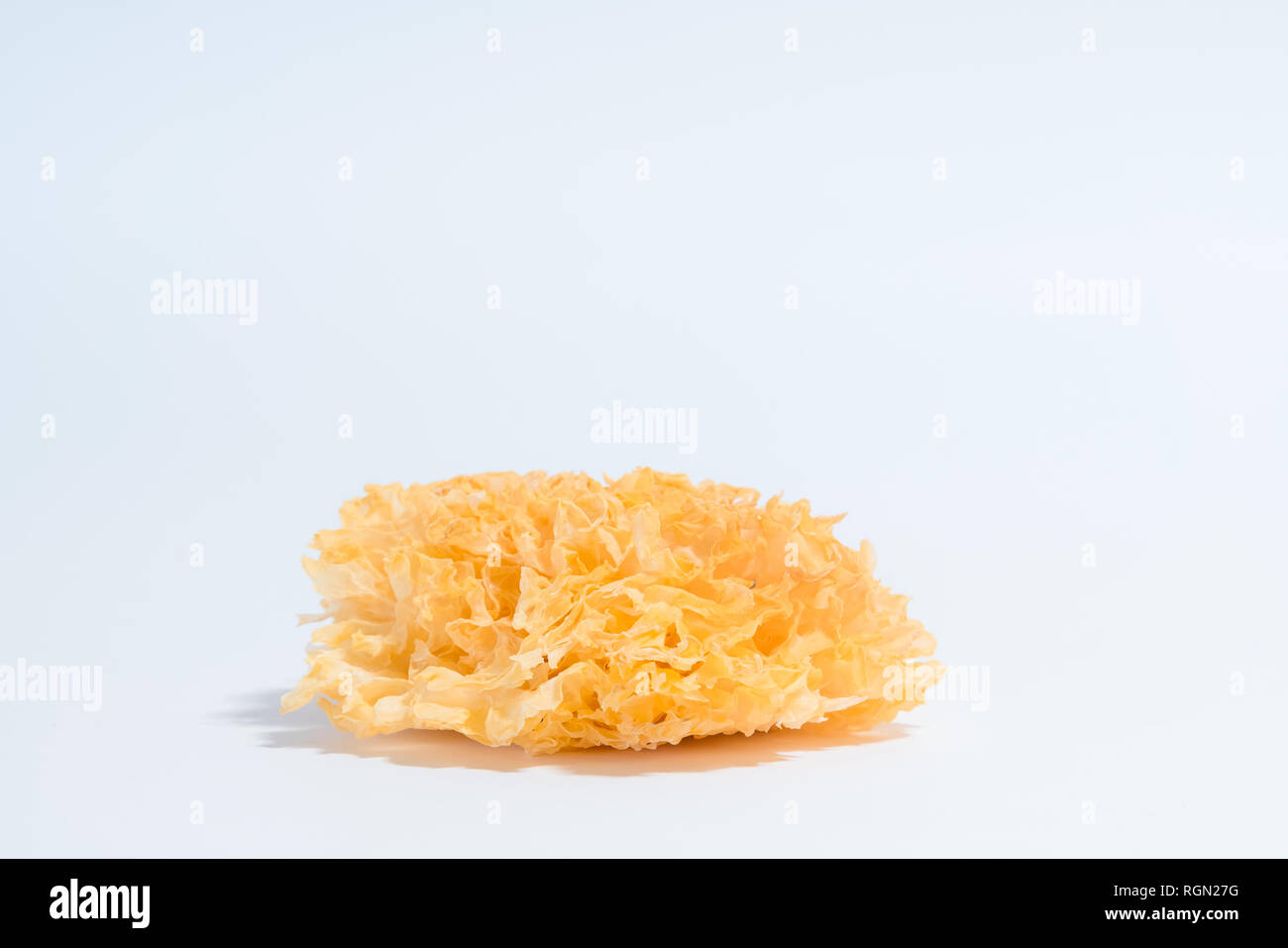 Aliments séchés champignons - champignon blanc close-up. Pour les soupes de champignons secs comestibles Banque D'Images