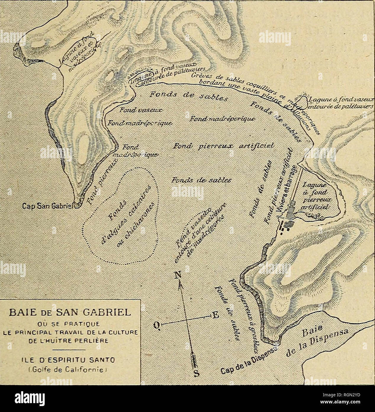 . Bulletin de la SociÃ©tÃ© nationale d'acclimatation de France. La SociÃ©tÃ© nationale d'acclimatation de France ; Animaux ; zoologie, botanique, économique, Économique. LHLITER PERLIÈRE DANS LE GOLFE DE CALIFORNIE 185 stailation et un matÃ©riel reprÃ©sentant de la capitale financière de l'ONU TRÀ important. En outre du matÃ©riel e.s courant© pour la pÃªche par- liÃ¨re, tels que navires et embarcations amÃ©nagÃ©s pour le trans- port et la-plonge à l'aide du scaphandre, nouvelle dans celte- dustrie exige des constructions SPÖ©ciales tant marines que terrestres, consistant en viviers, magasins, hangars pour la. BAIE DE SAM GABR Banque D'Images