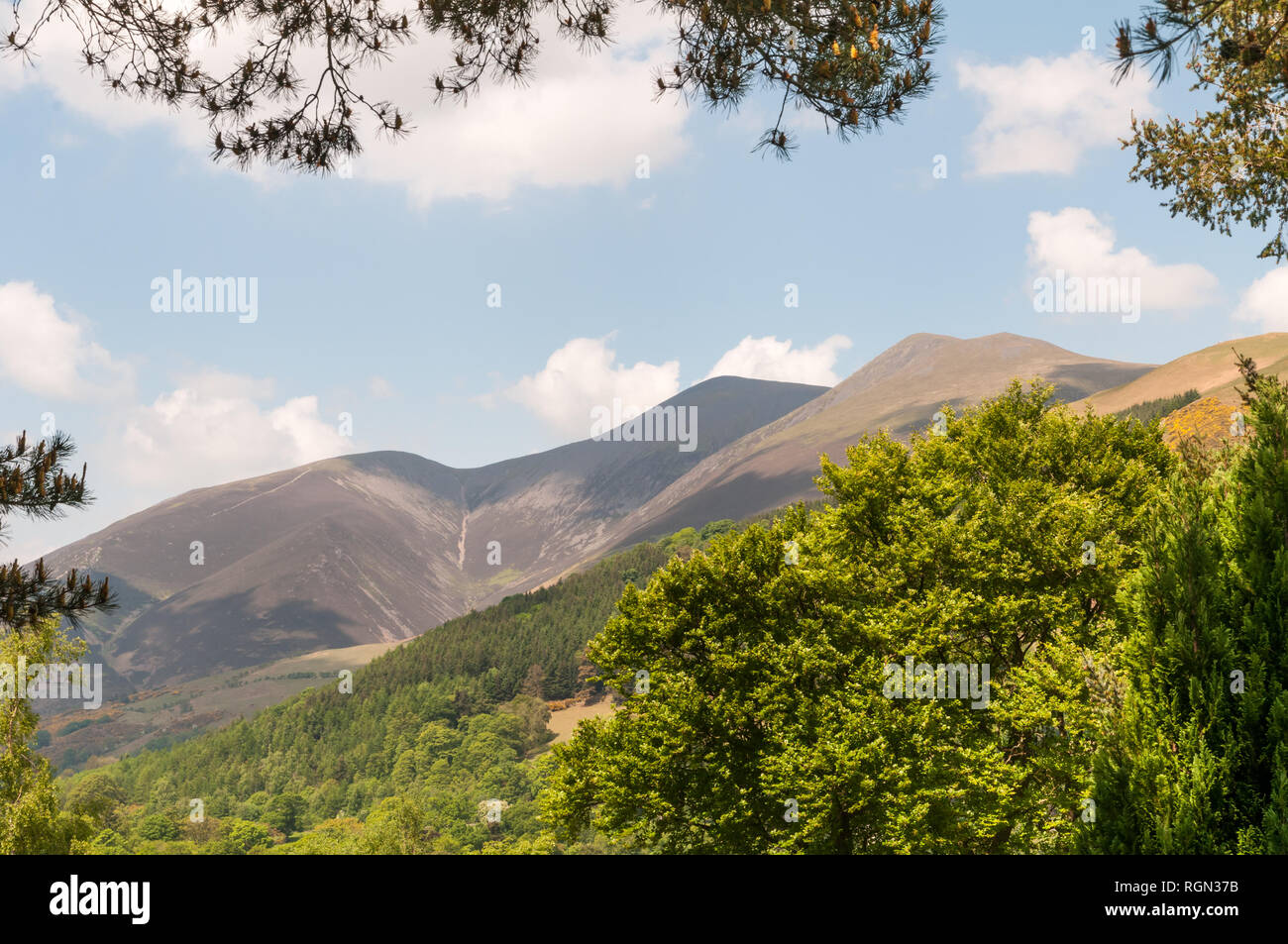 Une vue sur la montagne Skiddaw dans le Parc National du Lake District, Cumbria, Angleterre, encadré par les arbres au printemps et tous les sommets visibles. Banque D'Images