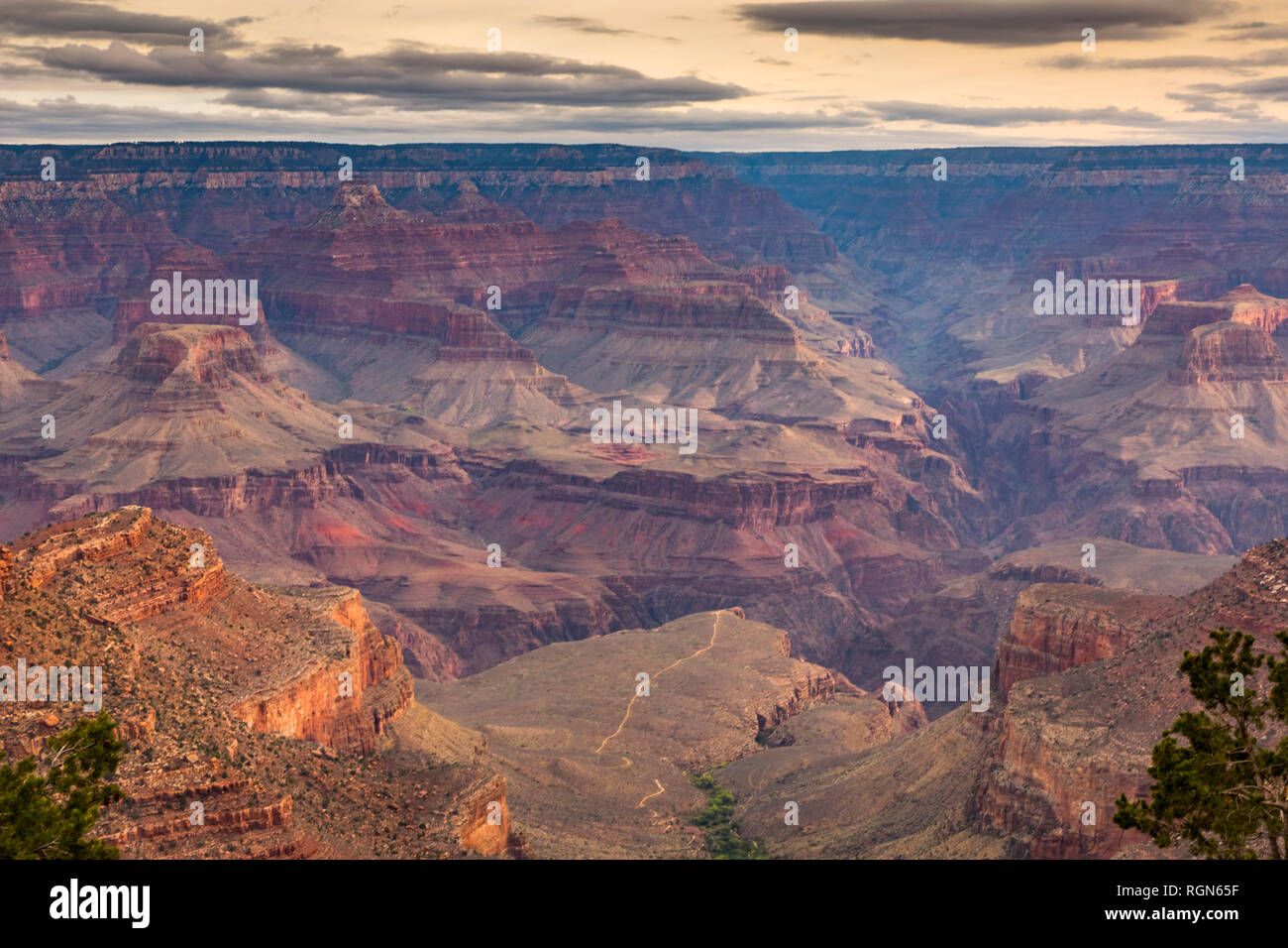 USA, Arizona, Grand Canyon National Park, Grand Canyon en soirée Banque D'Images