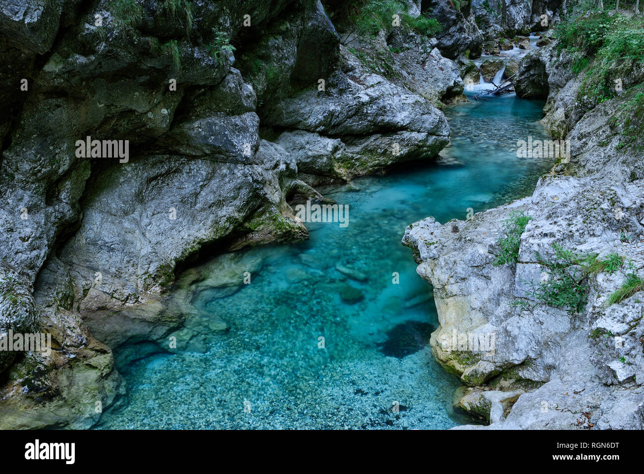 La Slovénie, Tolmin, parc national du Triglav, Tolmin Gorges Banque D'Images