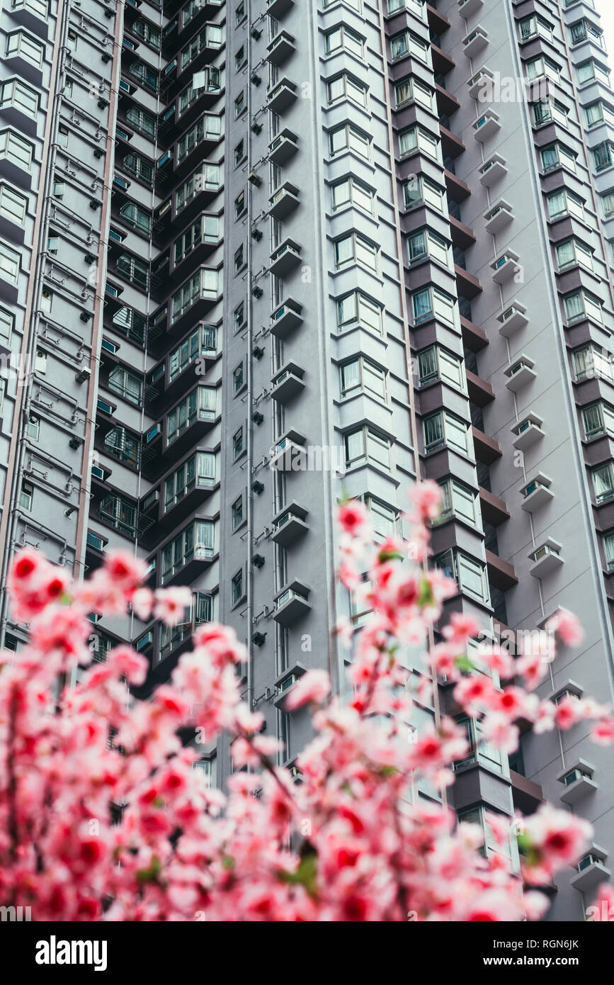 La Chine, Hong Kong, Hong Kong Island, façades de vacances tower, vue partielle Banque D'Images