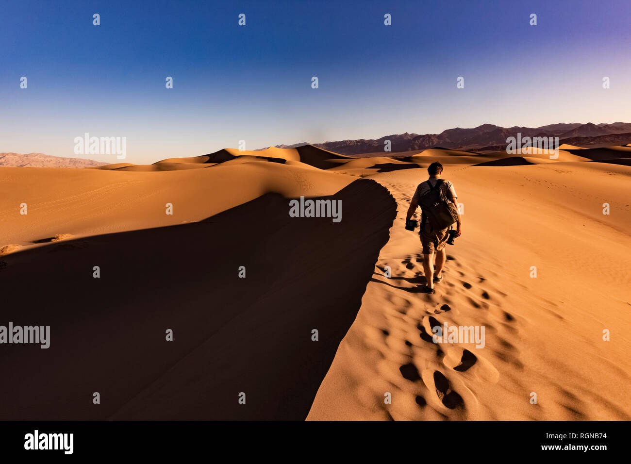 USA, californien, la vallée de la mort, Death Valley National Park, Mesquite Flat dunes de sable, l'homme marche sur dune Banque D'Images