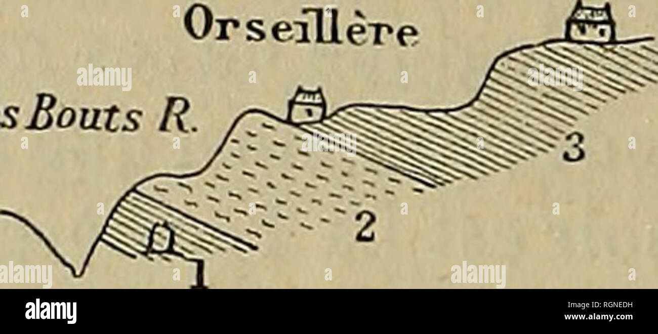 . Bulletin de la SociÃ©tÃ© gÃ©ologique de France. La géologie. 708 D, HOLLANDE. Â JURASSIQUE DE LA HAUTE-SAVOIE. 13 juin mont LÃ¢chÃ¢t. Dans le ruisseau des combats, vers la TouviÃ¨re et l'Ou- seillÃ¨re situÃ©es dans le bas de Gebet, on voit le contact du Trias et du Lias. Fig. 20. Gefcet LesBout. Trias, 1. Roches noires ou d'un gris foncÃ©, faisant Ã peine Ã l'effervescence . l'acide chloriiydrique. 2. Gara;neules. .3. Lias. Dans les roches noires argileuses existe encore l'ouverture d'une ancienne galerie faite dans le but d'y rechercher du charbon. Ces roches noires ou d'un gris foncÃ© ont Ã©tÃ© co Banque D'Images